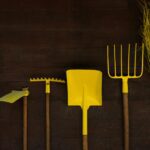luis feliciano 9EH5AkClwZ0 unsplash